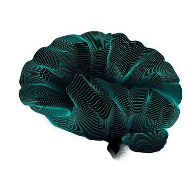 team_brain (1)
